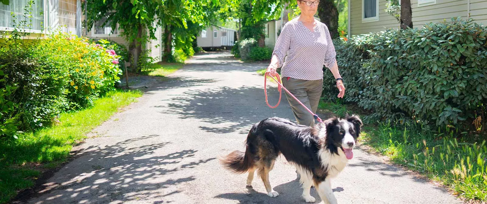 Nous & nos 30 millions d'amis