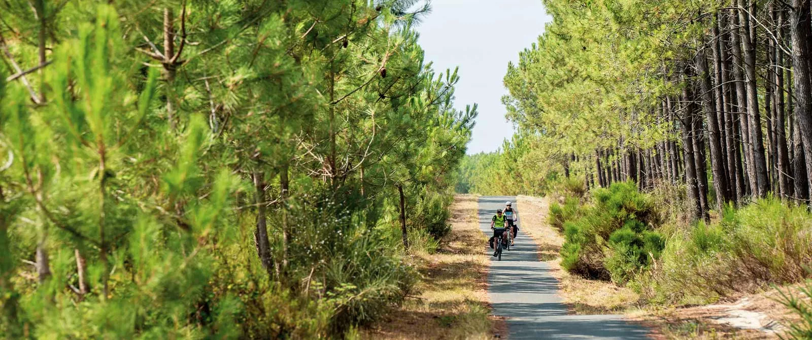 Le sentier du littoral à vélo