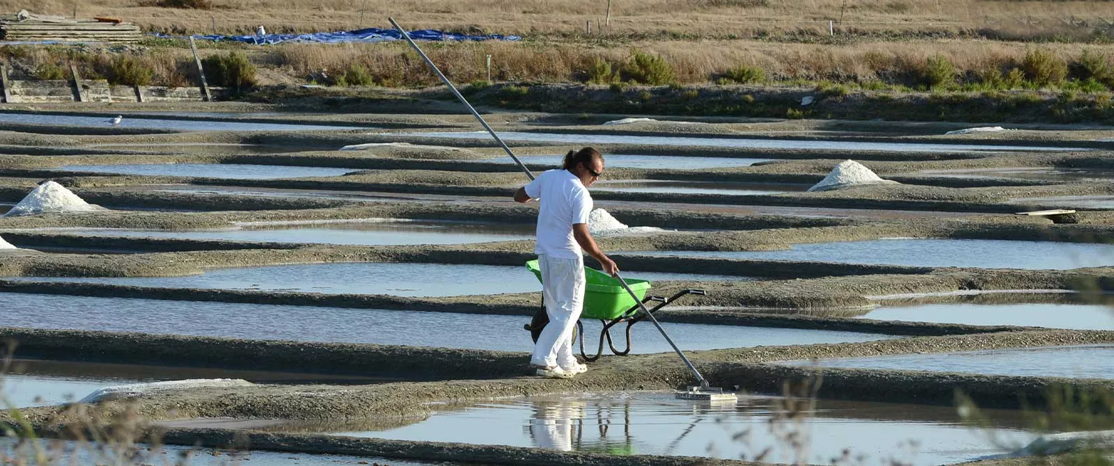 Siblu #BoisMasson & #BoisDormant - Le paradis marin