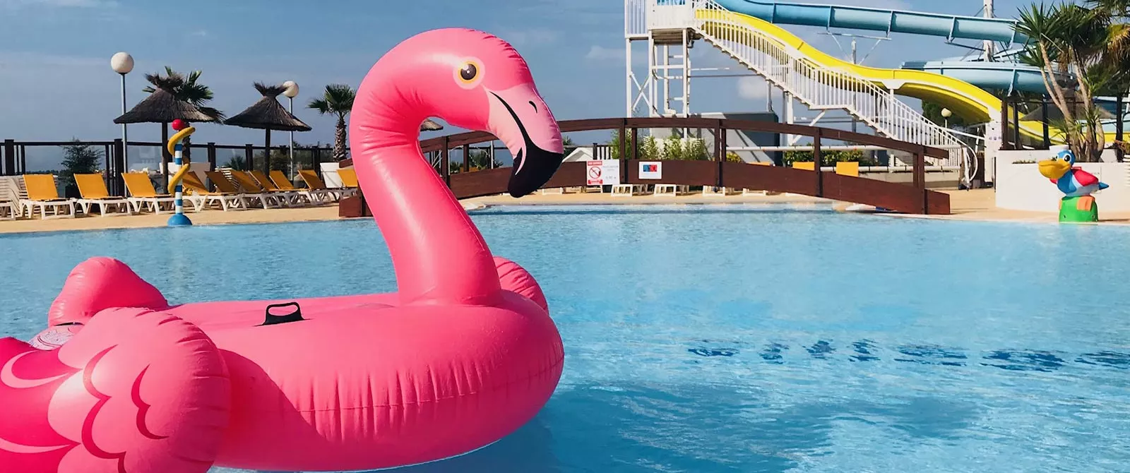 Comme un poisson dans l'eau