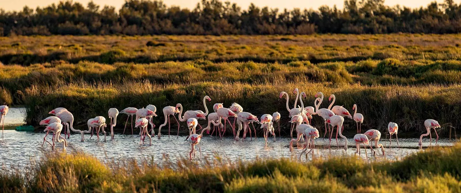 Tourisme Languedoc-Roussillon