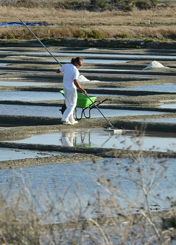 Siblu #BoisMasson & #BoisDormant - Le paradis marin