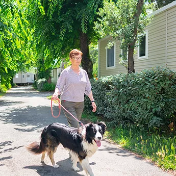 Nous & nos 30 millions d'amis