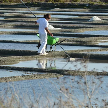 Siblu #BoisMasson & #BoisDormant - Le paradis marin
