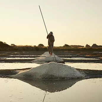 Les découvertes salées