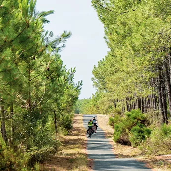 Le sentier du littoral à vélo