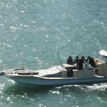 Suis-moi vers le Cap